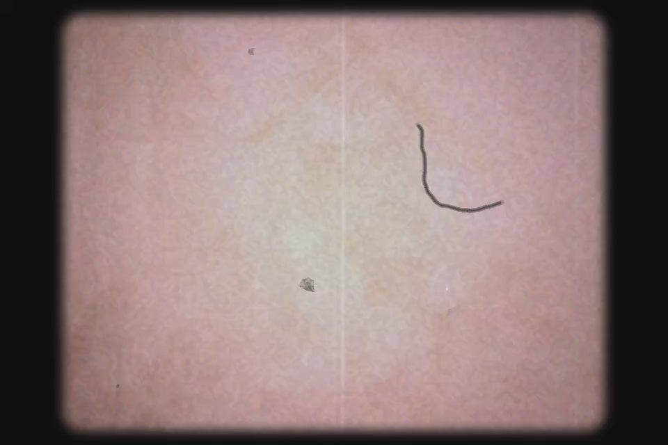 Ultimate Bawse - Day-to-Night Hydration Lip Mask