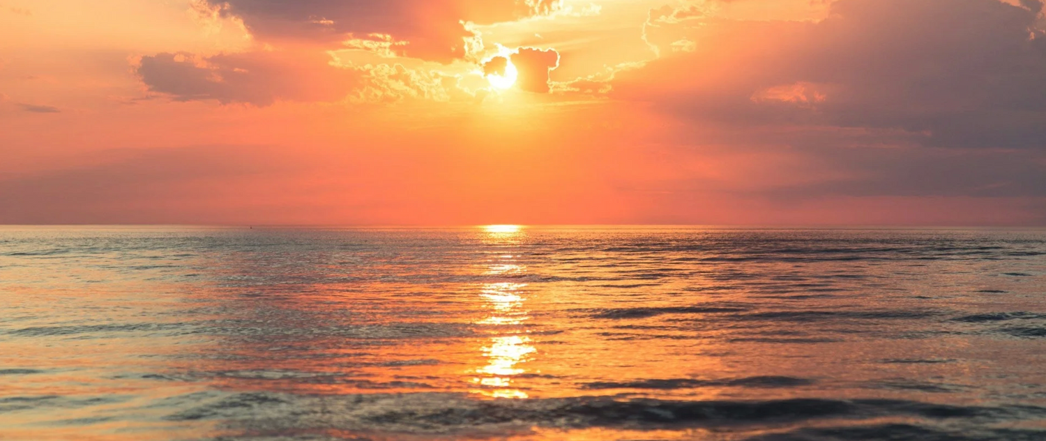 Why We’re Keeping Our Prices (And Staying True to Our Mission)